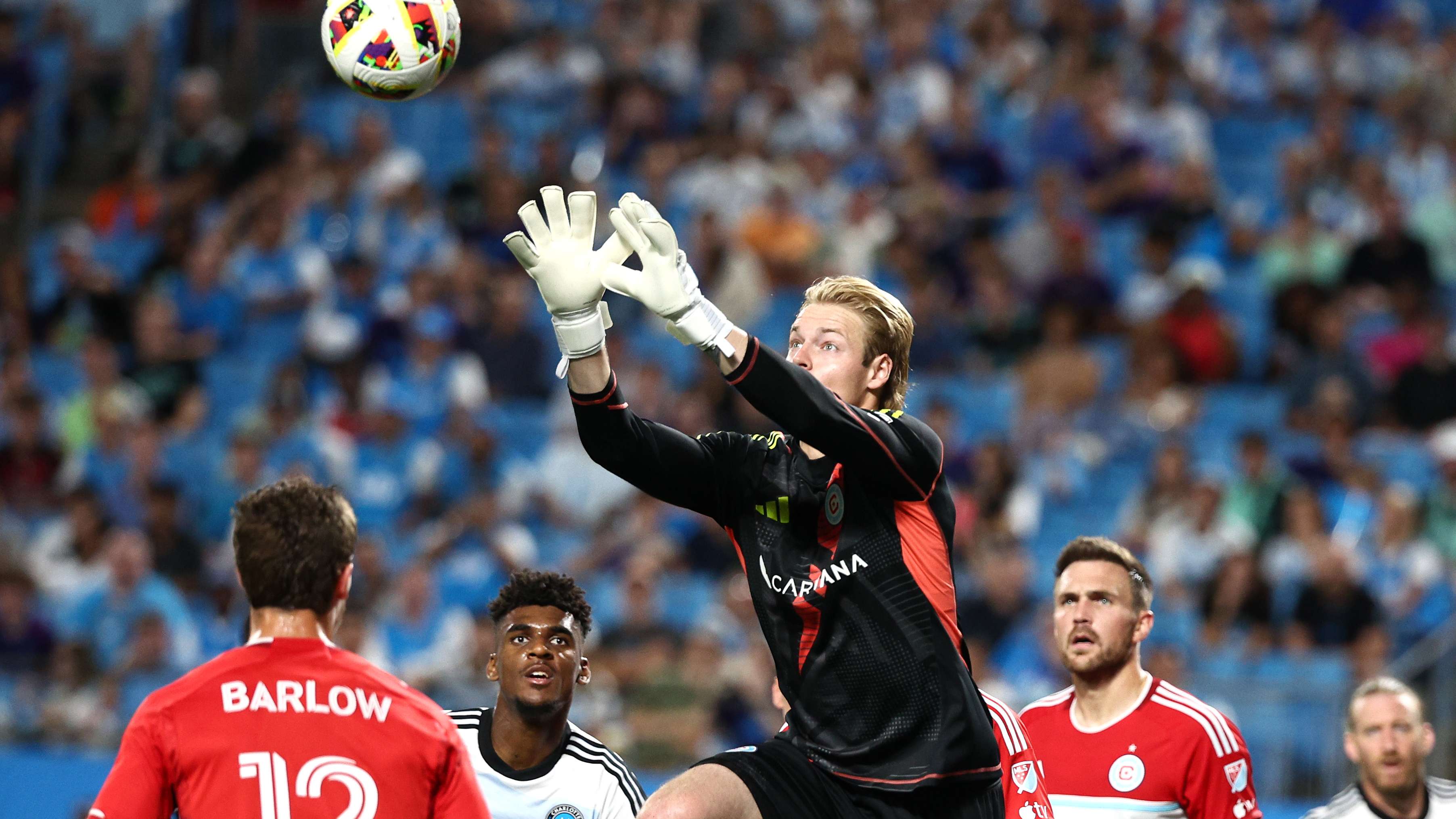 她的故事告 她的故事告